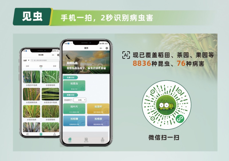 【AI+植?！?張照片抵過(guò)10年經(jīng)驗(yàn)，8000余種病蟲(chóng)害全曝光！